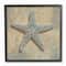 Stupell Industries Starfish Beach Objects Design Black Framed Wall Art